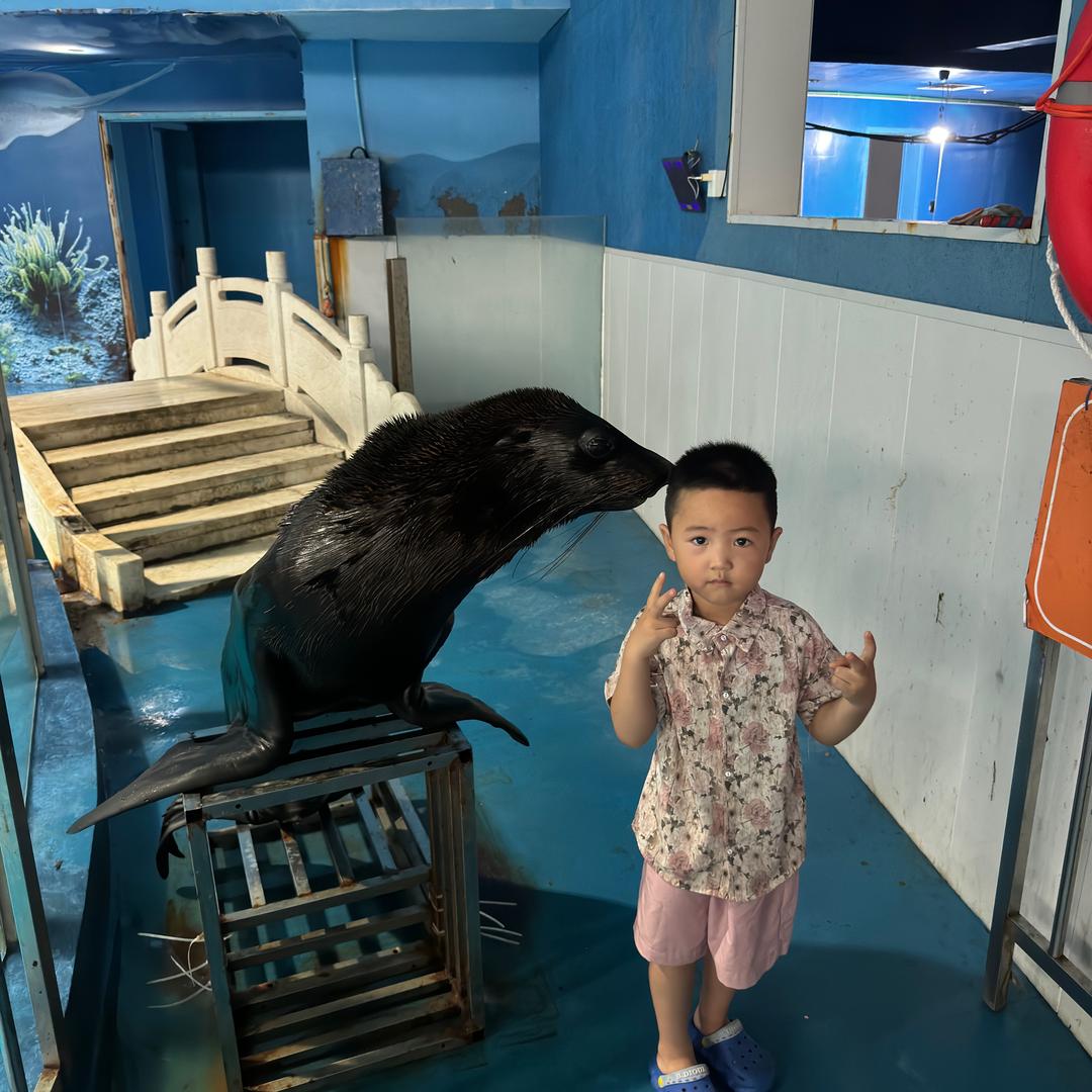 家有两铠甲