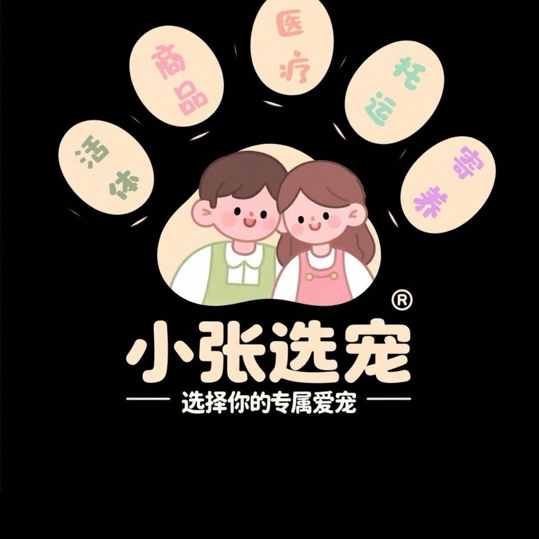 小张选宠
