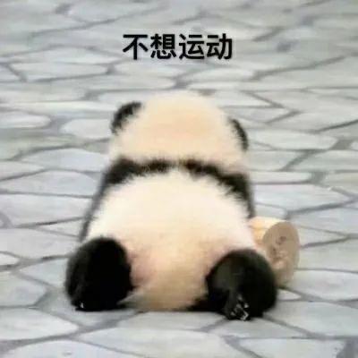 蒜🧄了