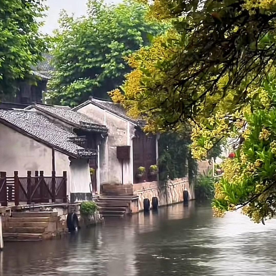 千玺云纱达人号