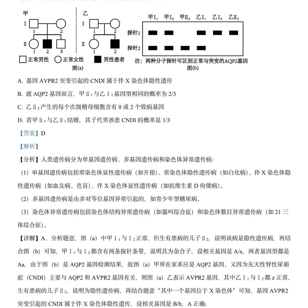 青海湖旅拍摄影师