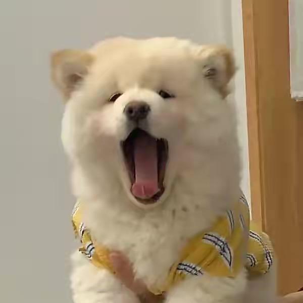 小城大爱.