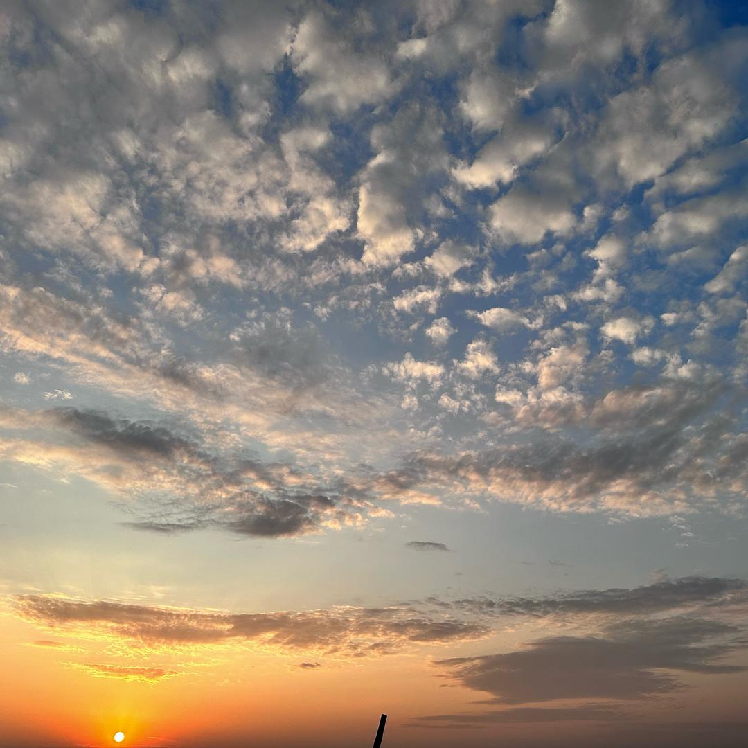 爱吃香肠的小龙