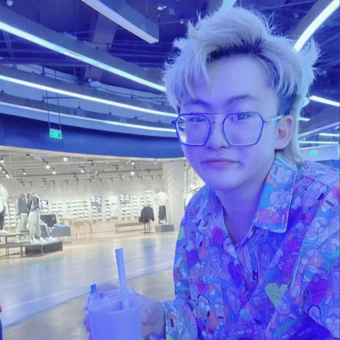 崽崽(爱玩金铲铲）