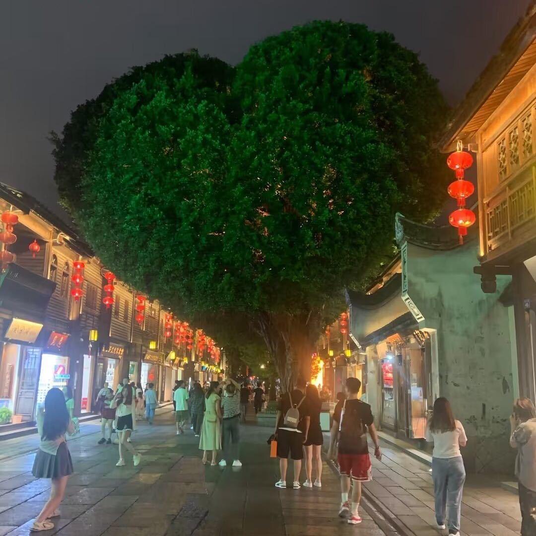 游子梦