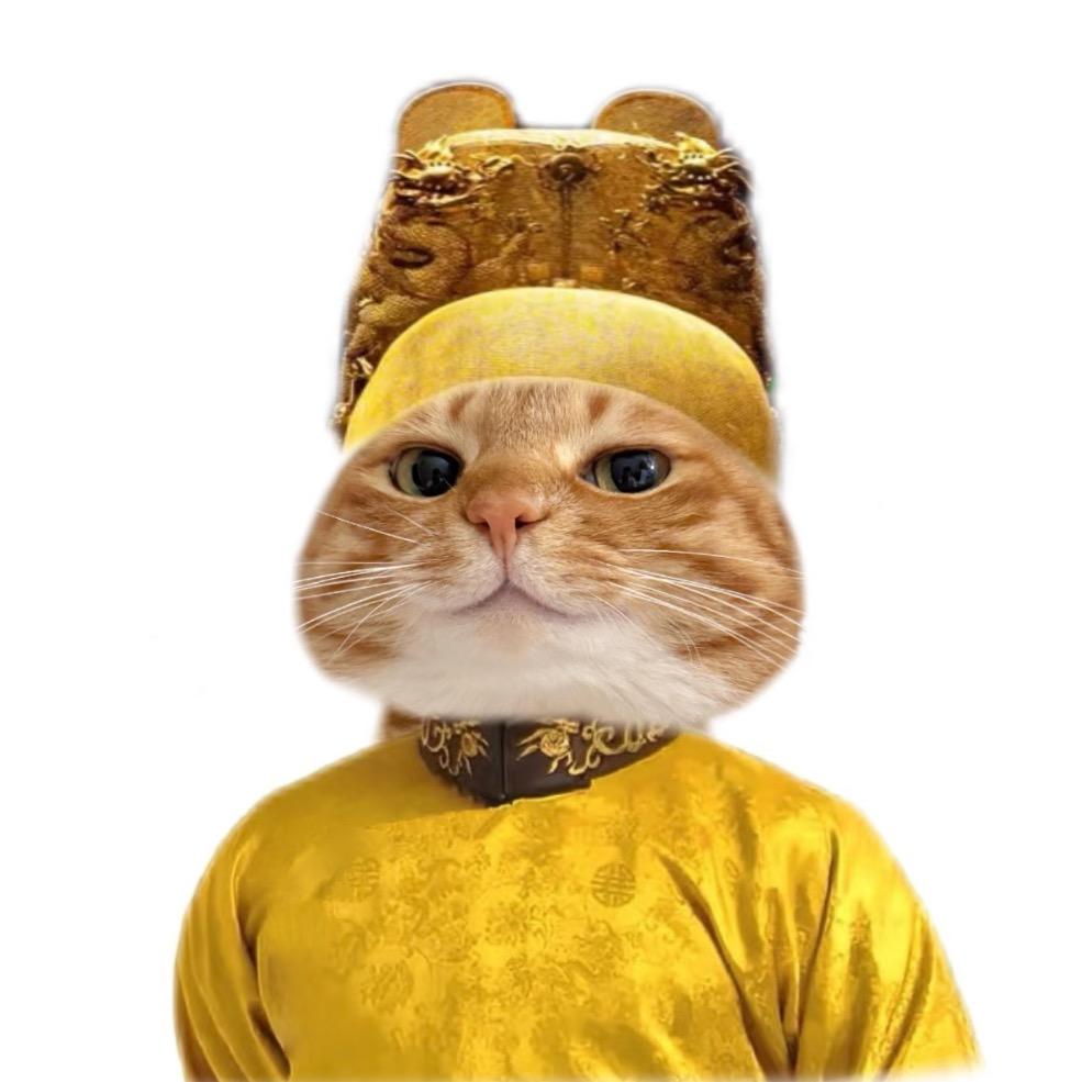 王可儿.🐾