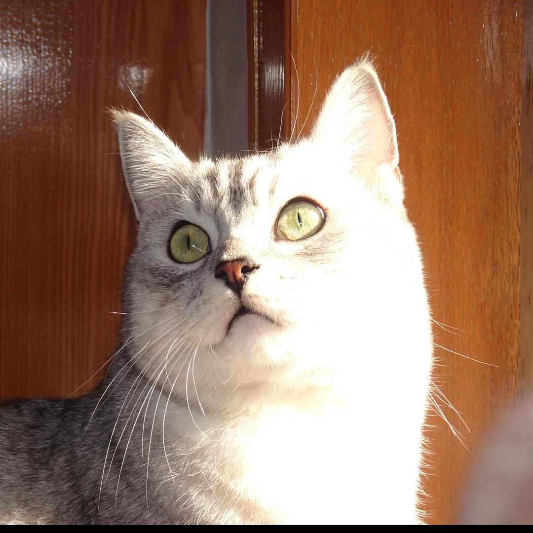 八方来财紫气东来财神爷爱我