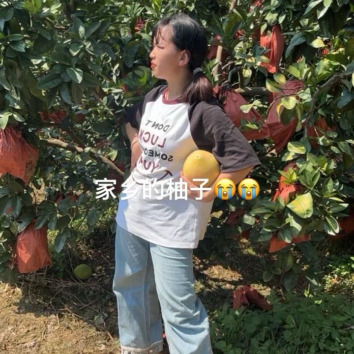 小红秀（福建平和红心密柚）