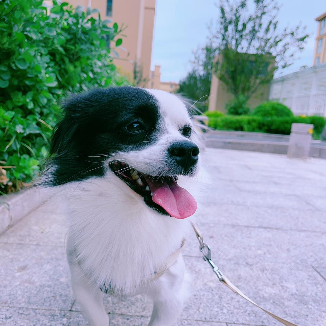 小李小李满心欢喜