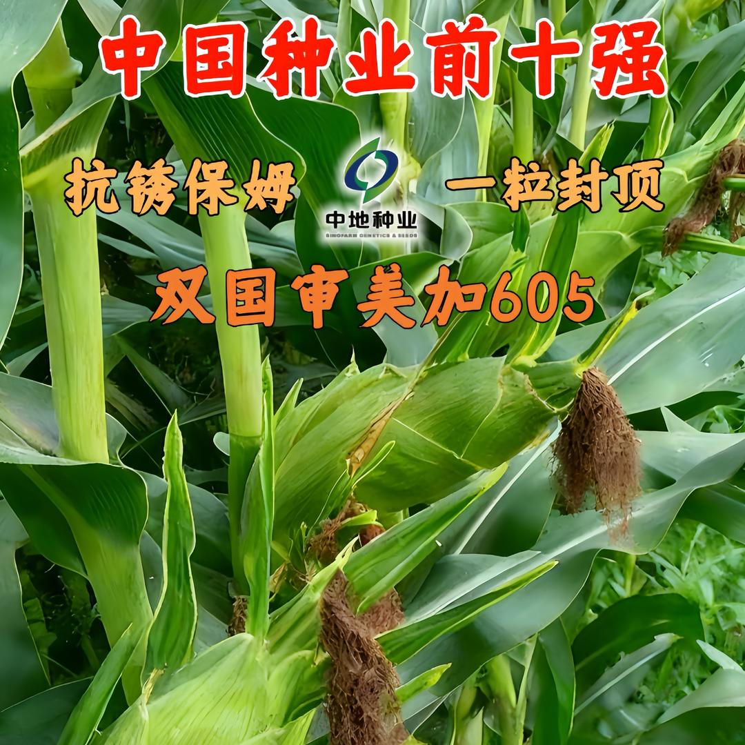 农业人-升级版美加605