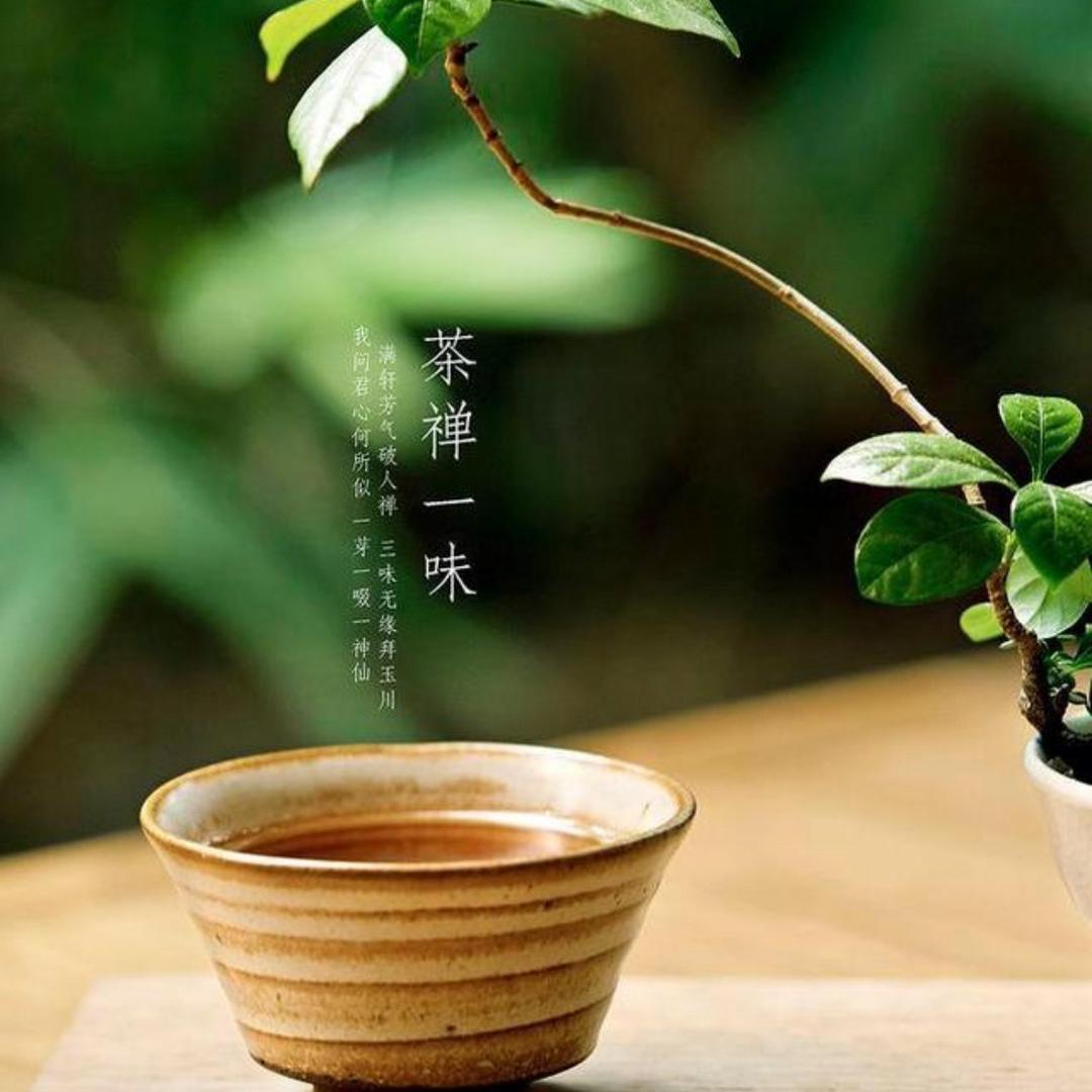 黔龙毛尖&茶道人生