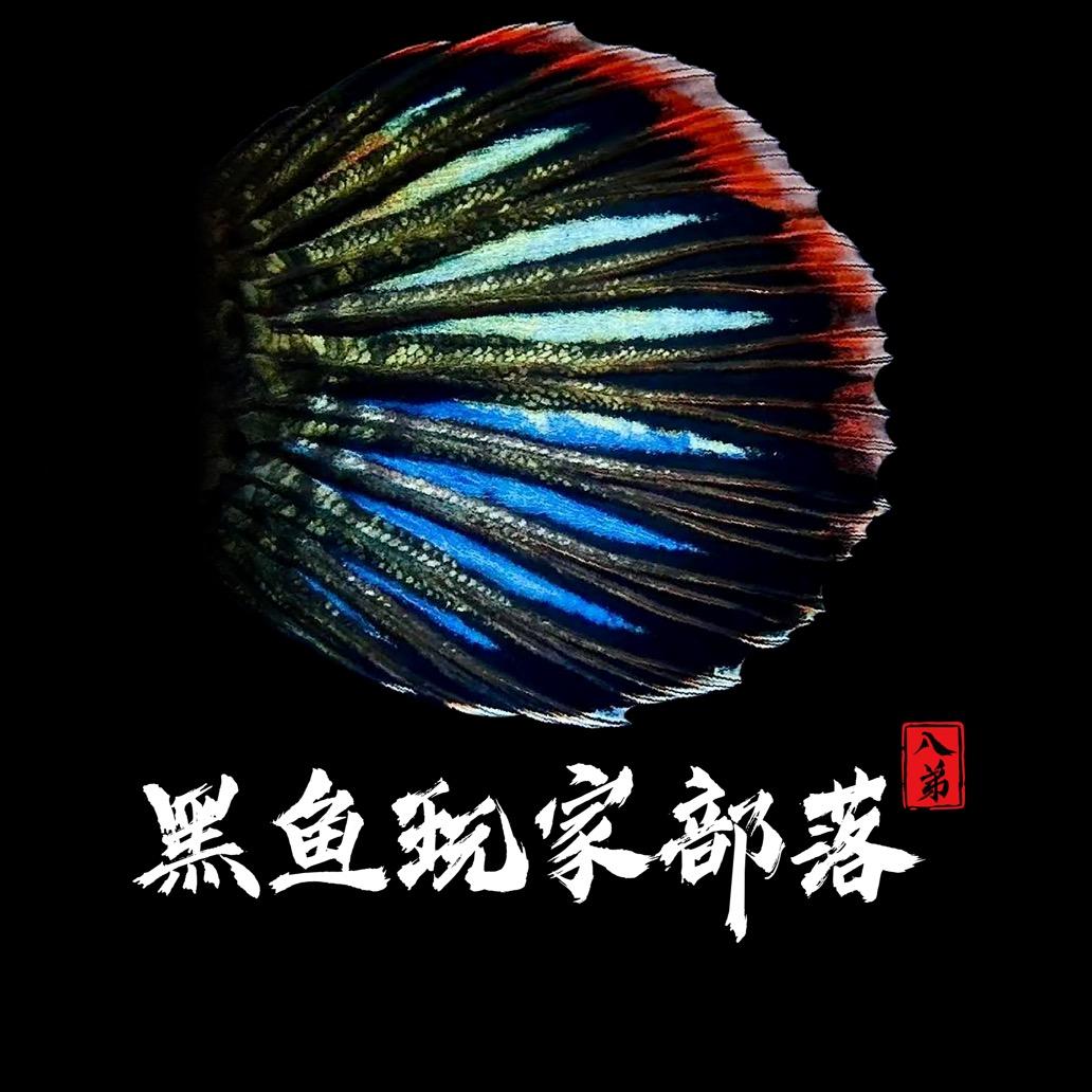 黑鱼玩家-八弟