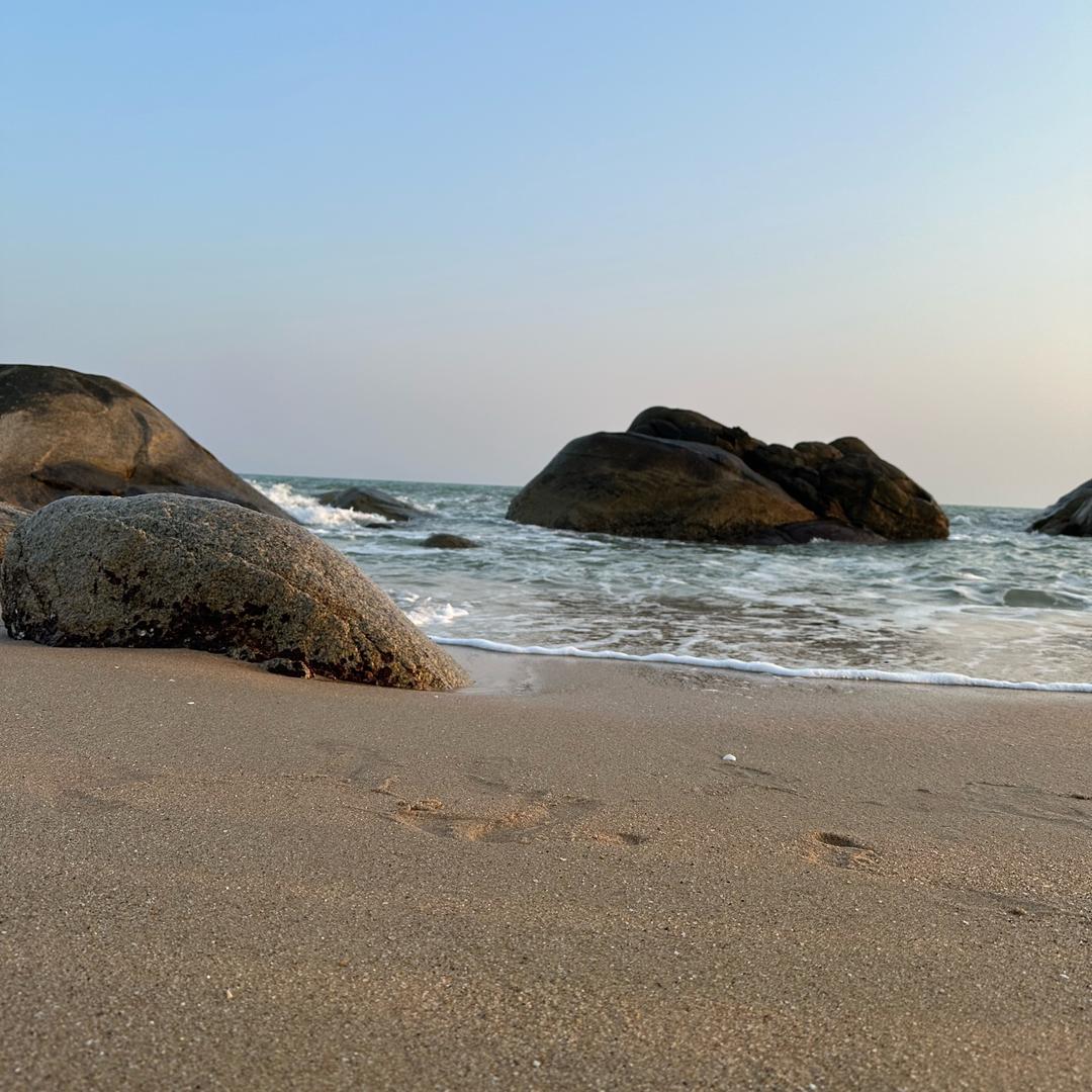 广东旅居🏖️暖冬生活