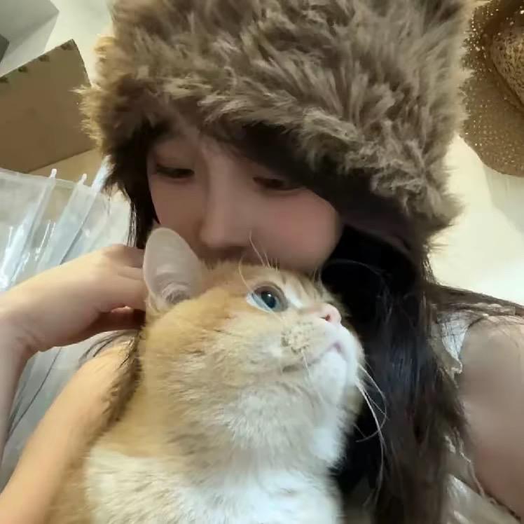十一
