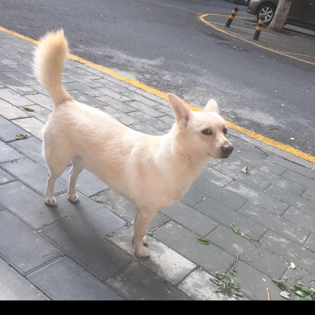 陕南（王姐）在北京现有一个共享菜园