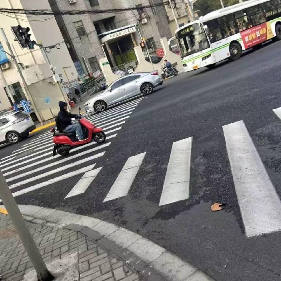 猫本