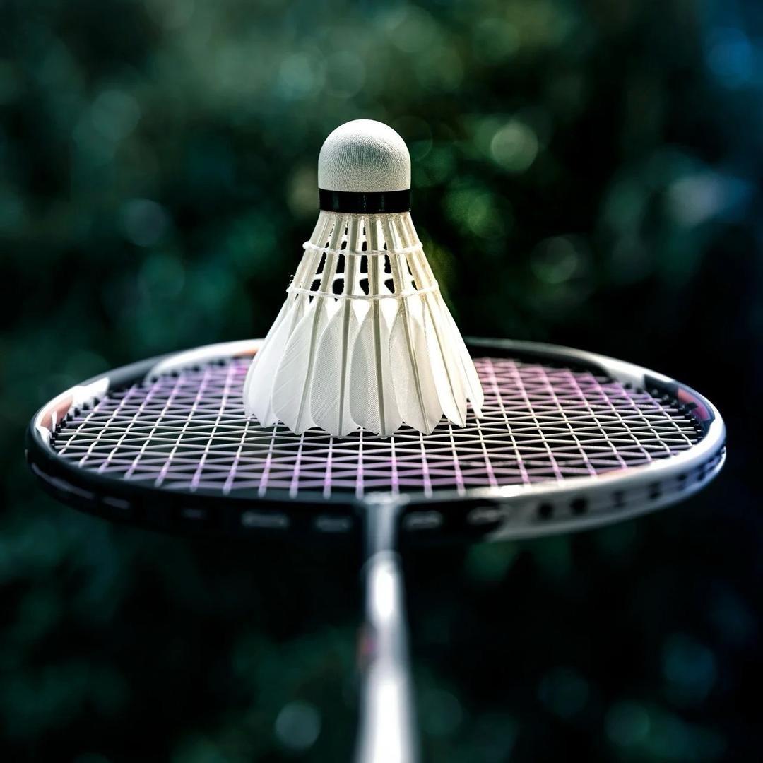羽球🏸聚集地