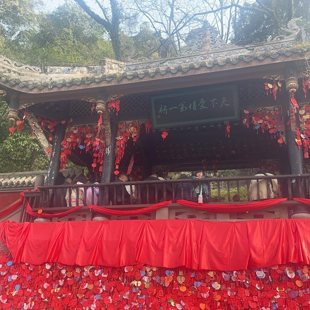 谨言慎行-将