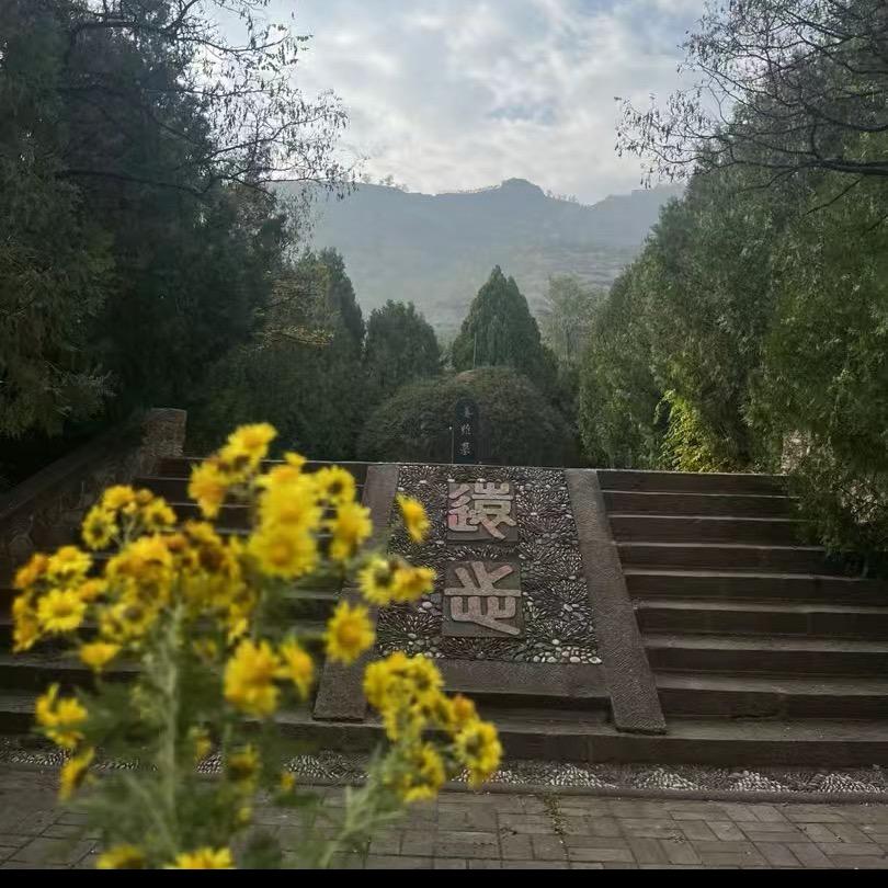 烟波江上屎仍稠