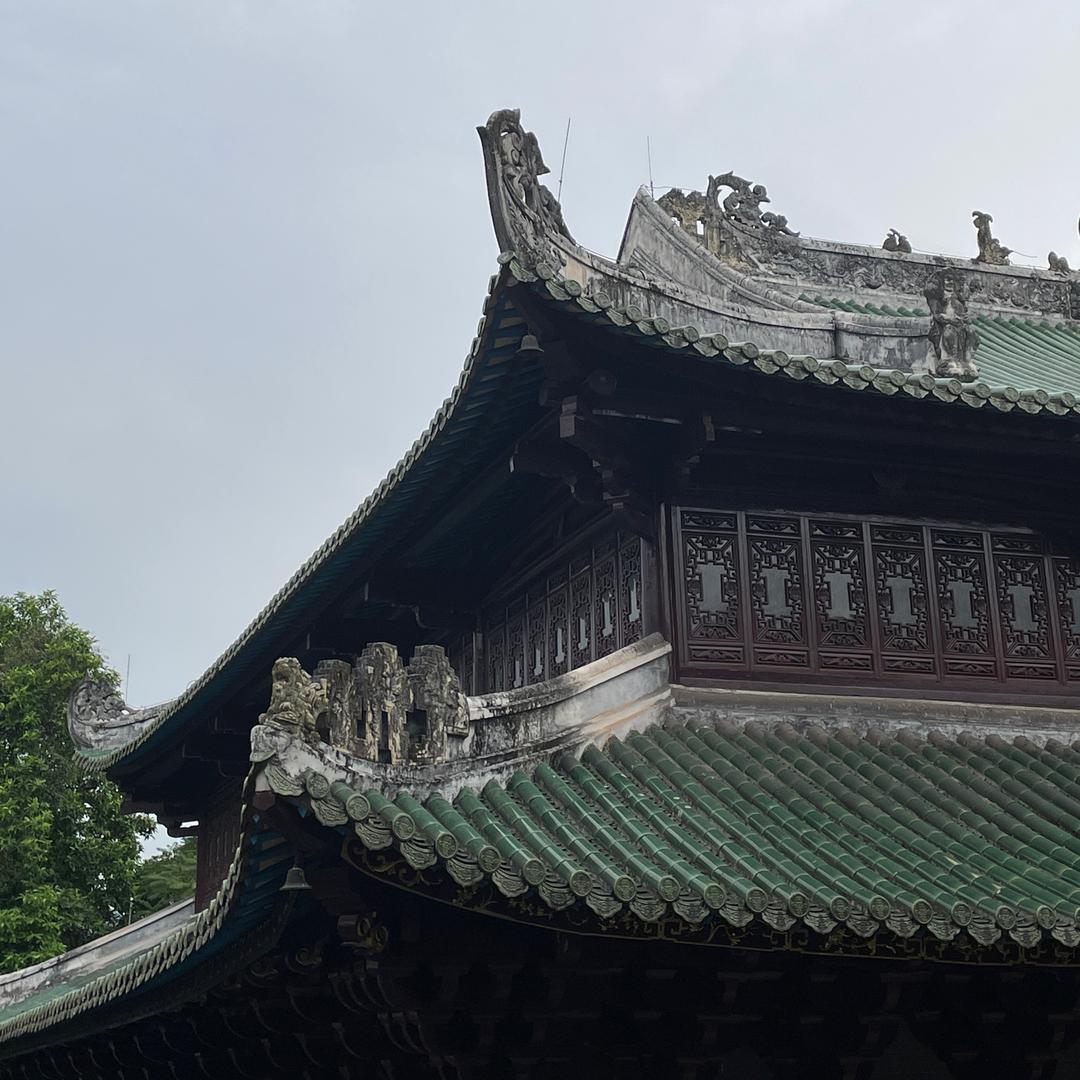 小白一个