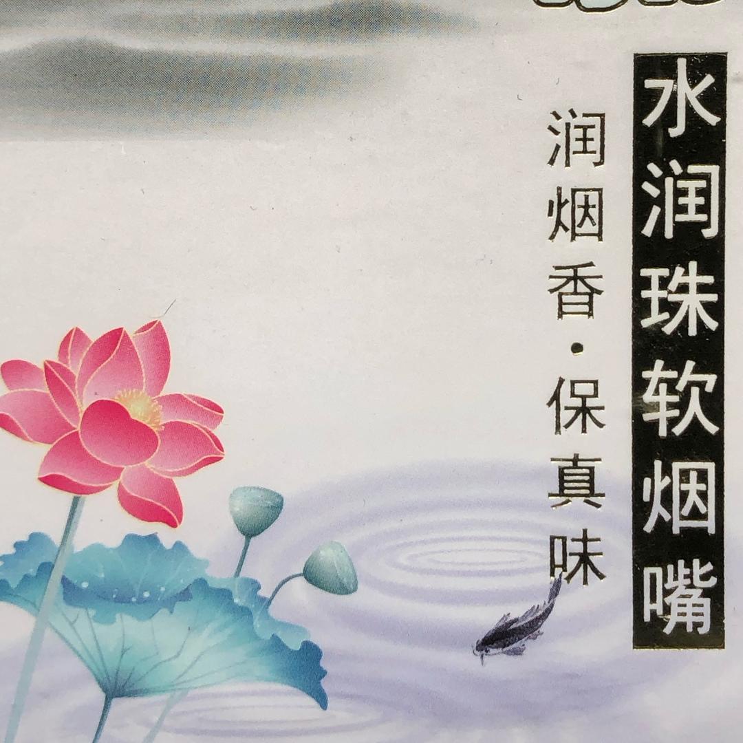 中天顺联秦时明曰