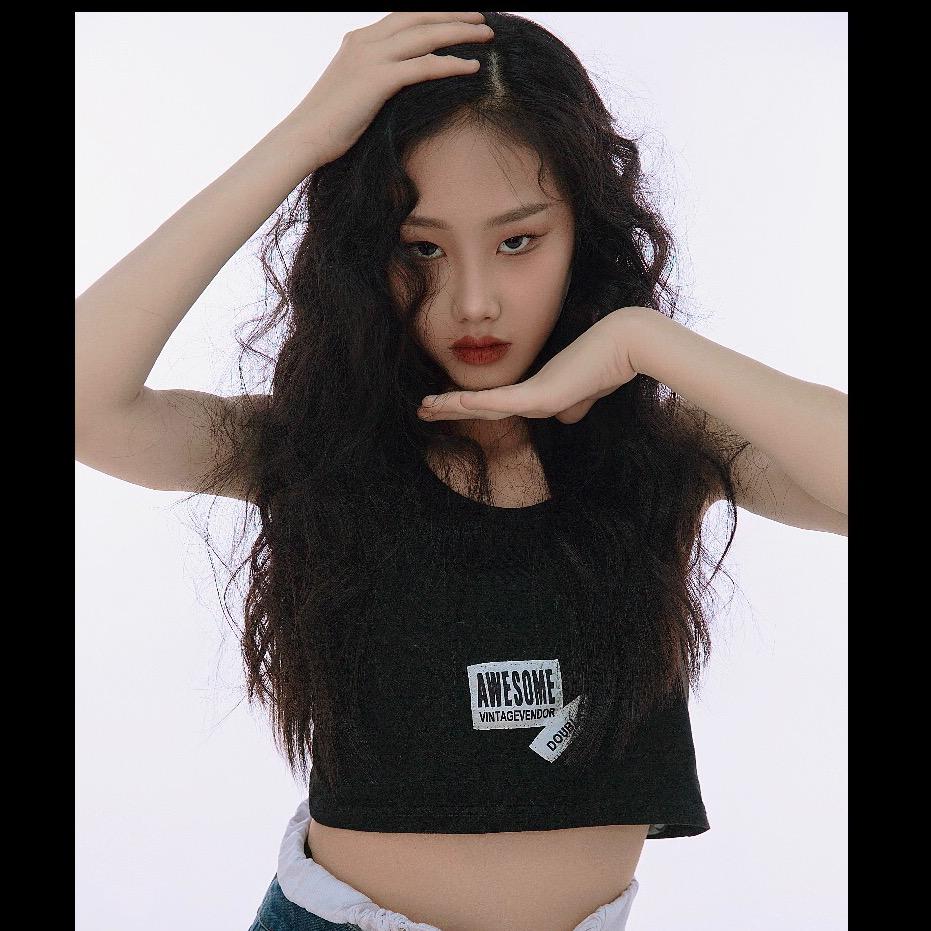 SDC−李小歪