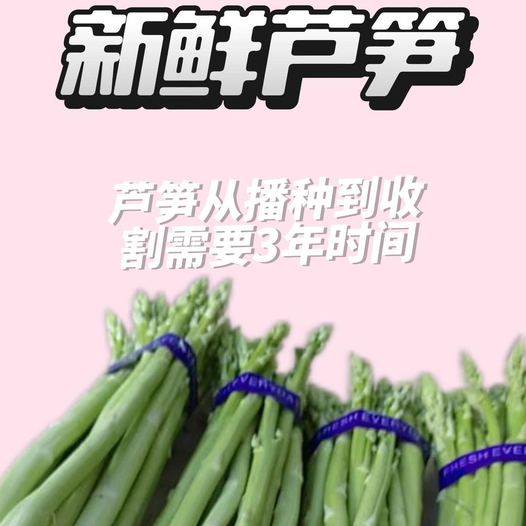 王家芦笋基地