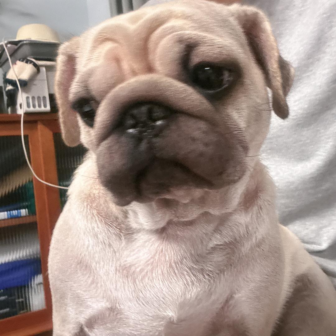 劲弦息语🎸🎸🎸