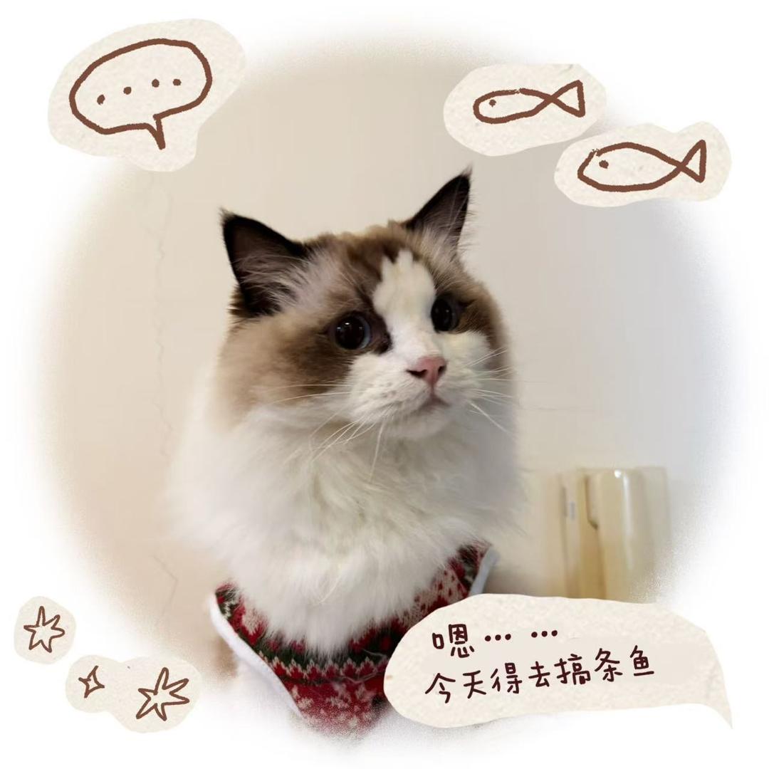 十七