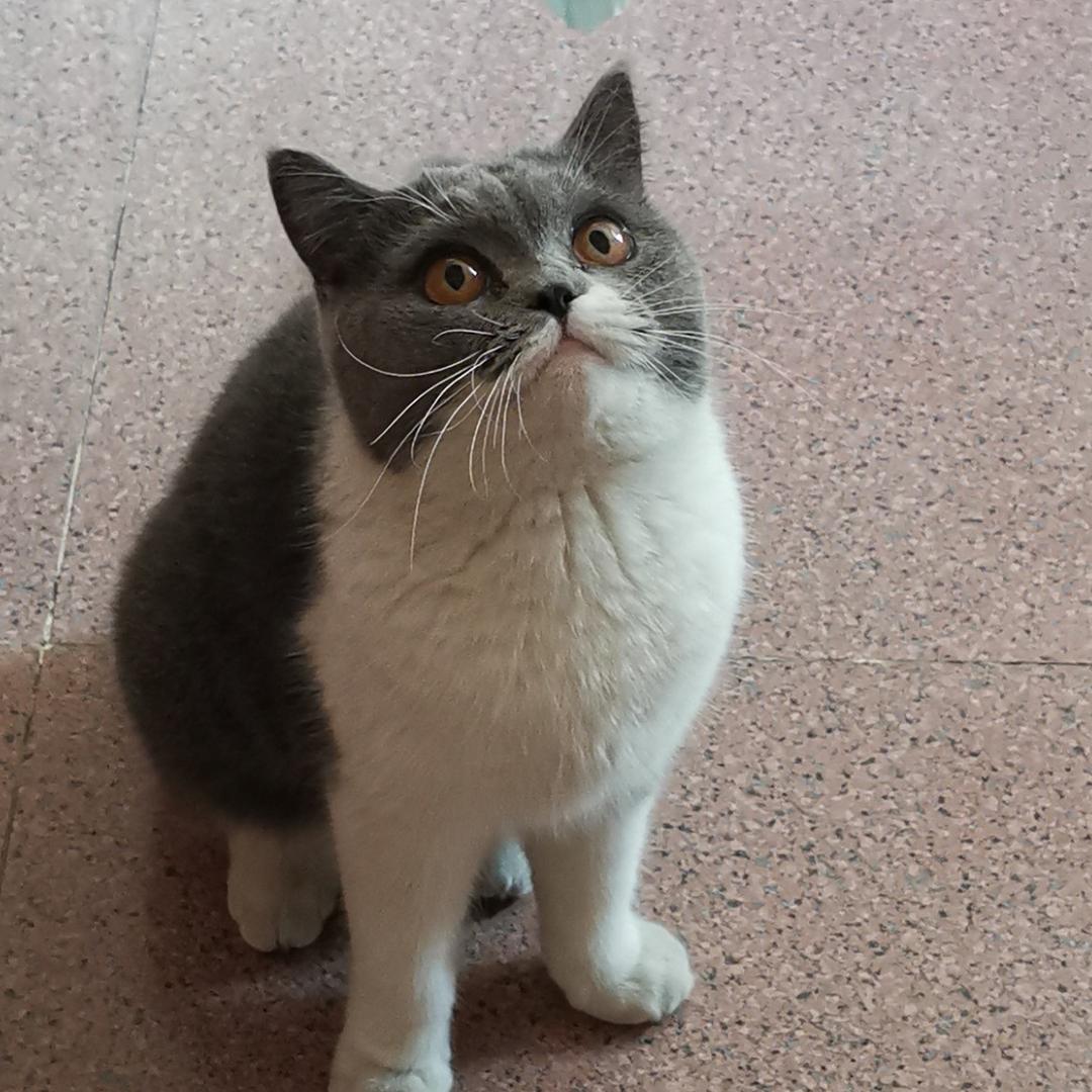 何先生🧑🏫