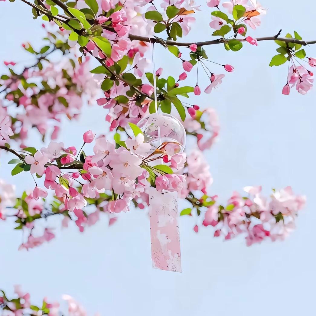 Miෆ·ᰔᩚao 💞