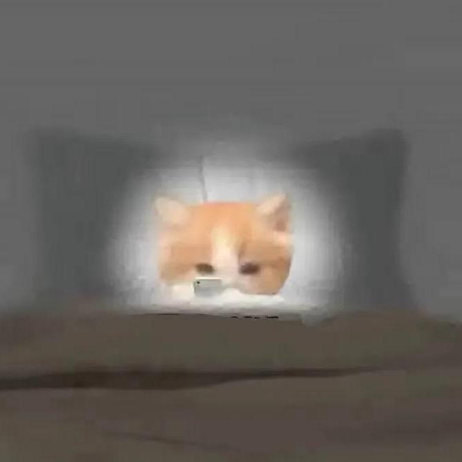 aimi