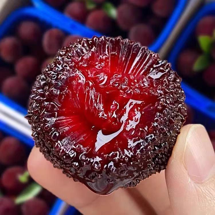 仙居东魁杨梅专店