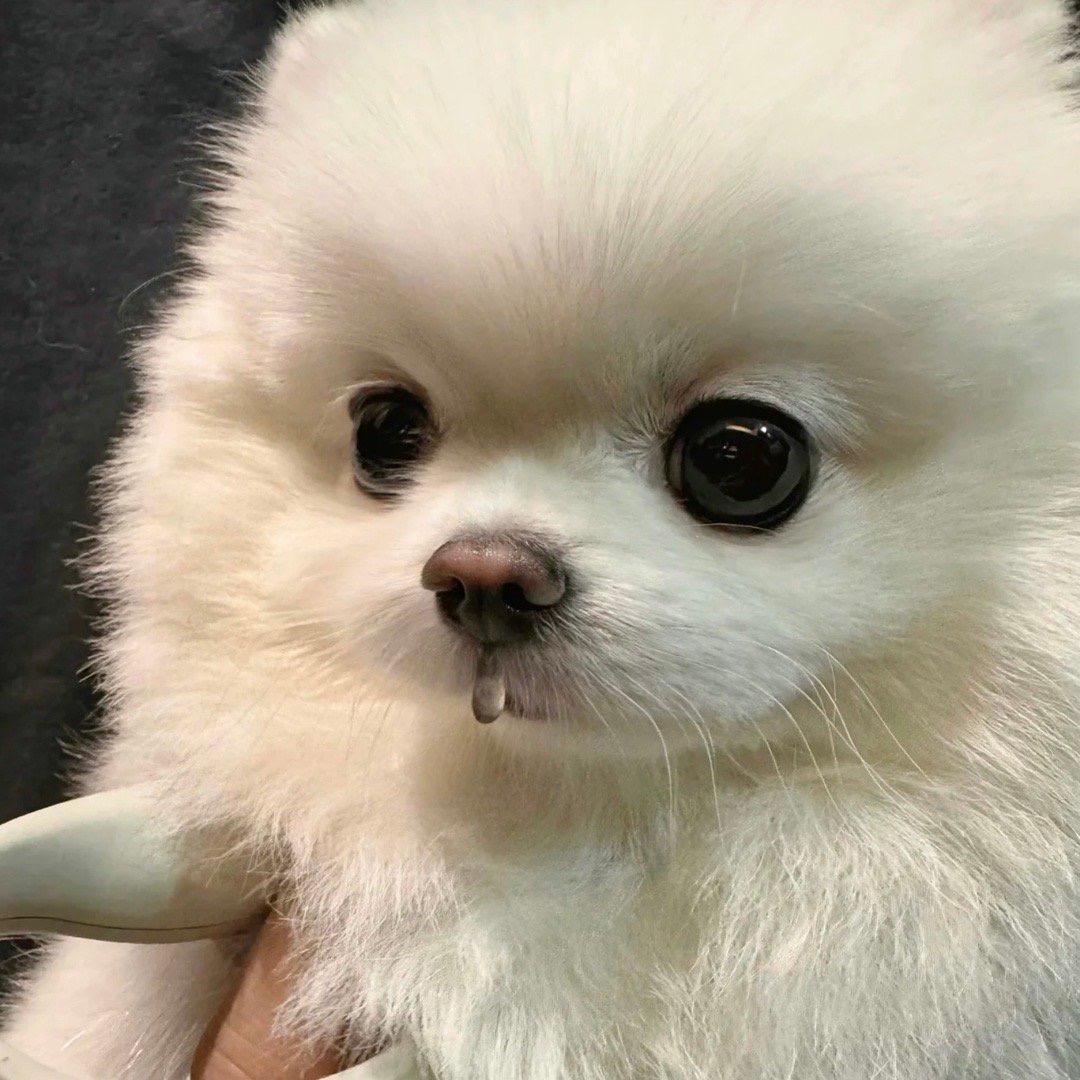 水蜜桃