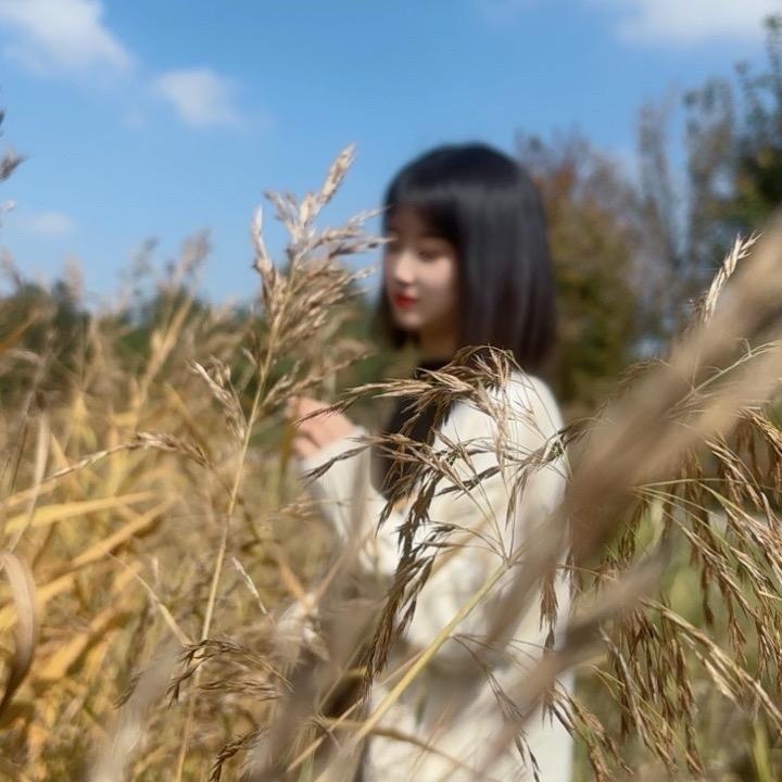 小趴菜🥬🥬