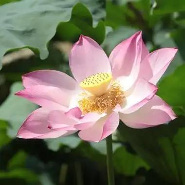 美收上门回收