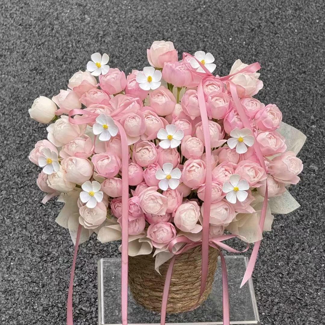 玫瑰与豆颂☕️