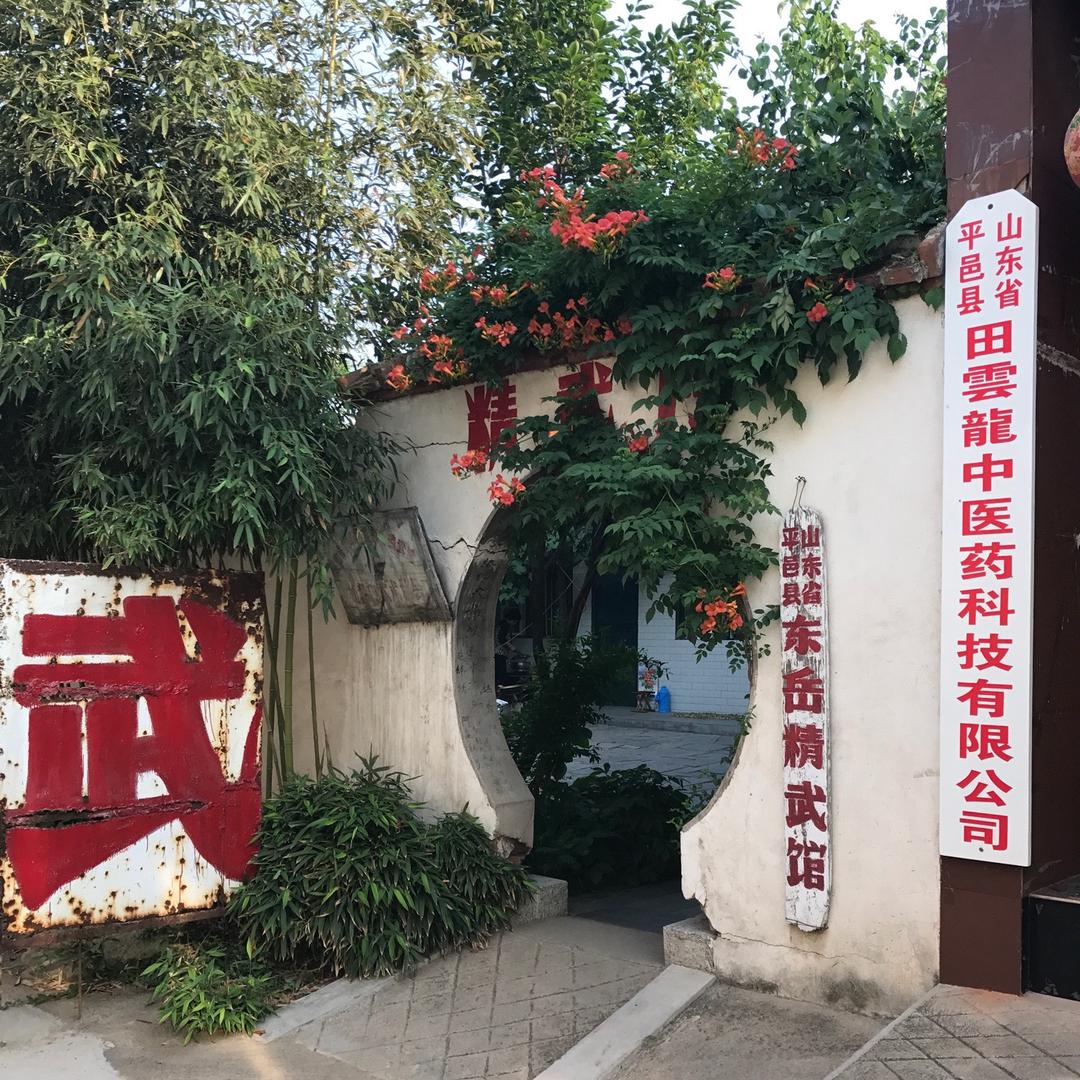 东岳精武馆～田雲龍