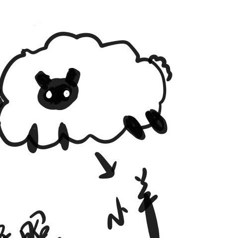 路鸽亲儿子追求者