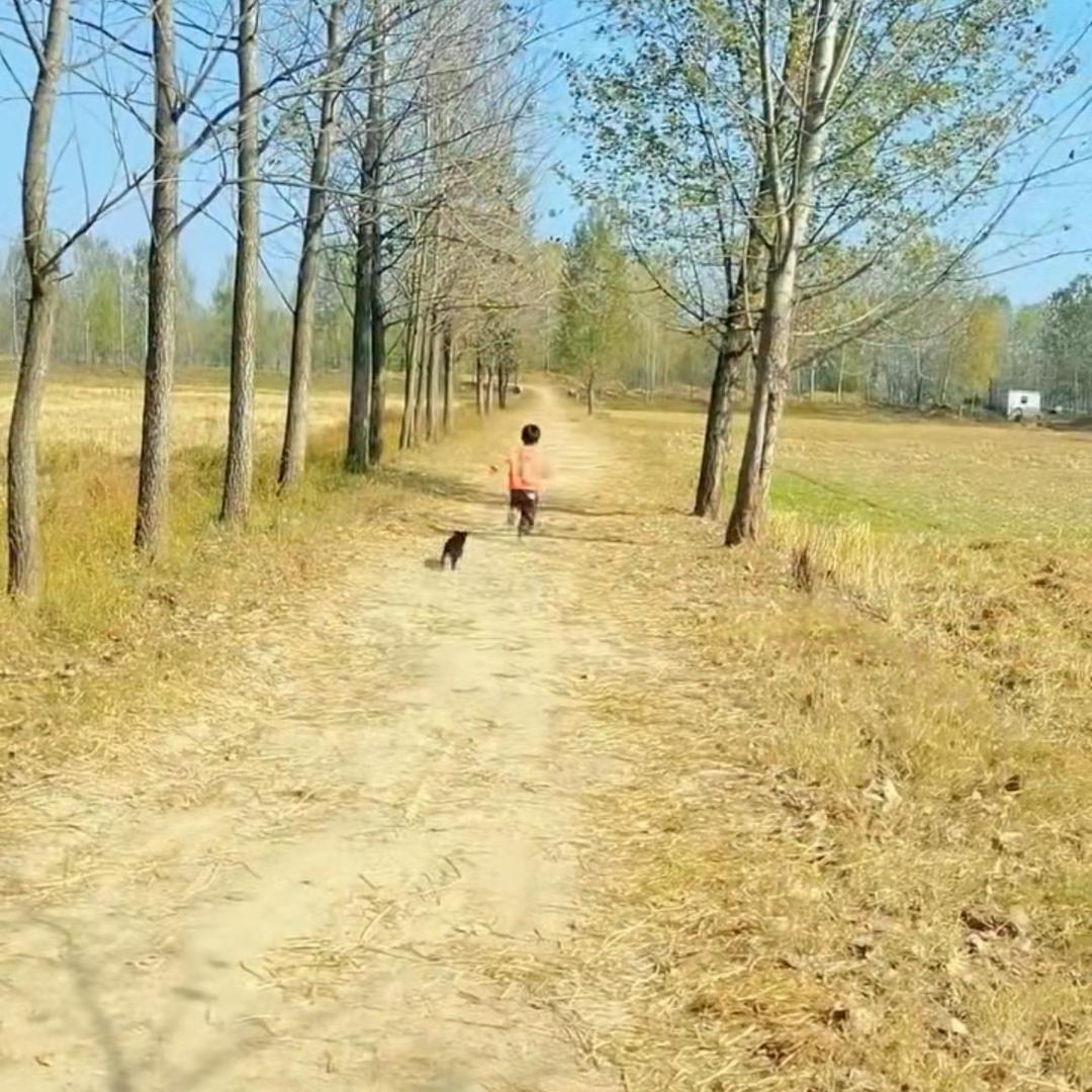 小小的太阳：田园集市
