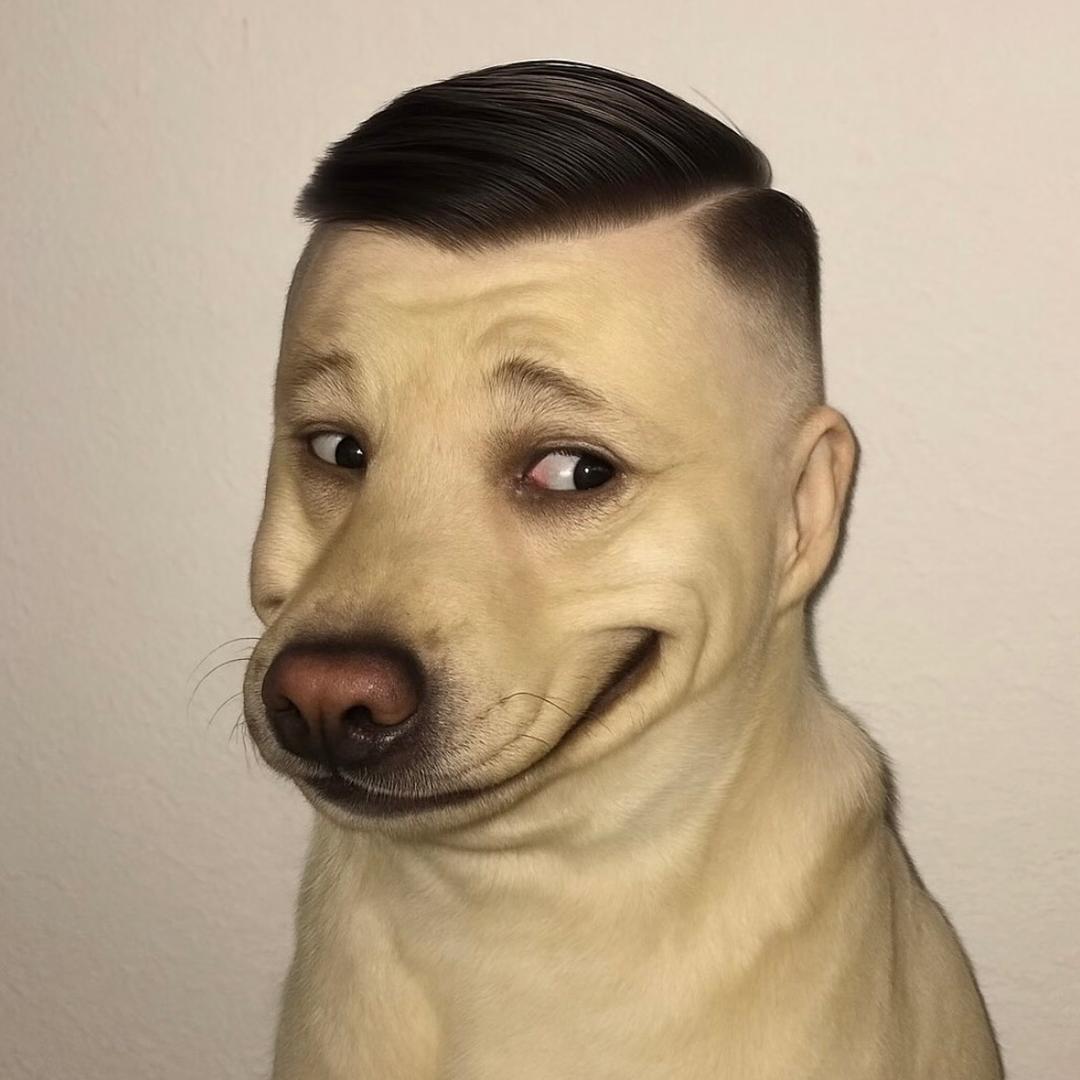 闲客