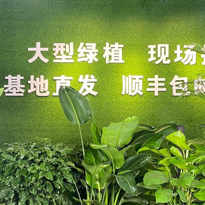 森挽花集