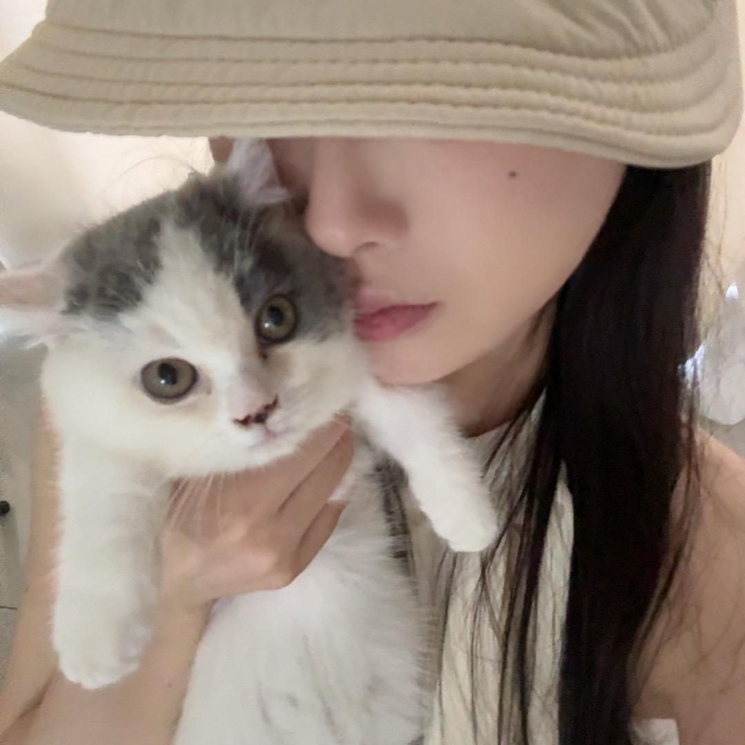 来一口雪糕
