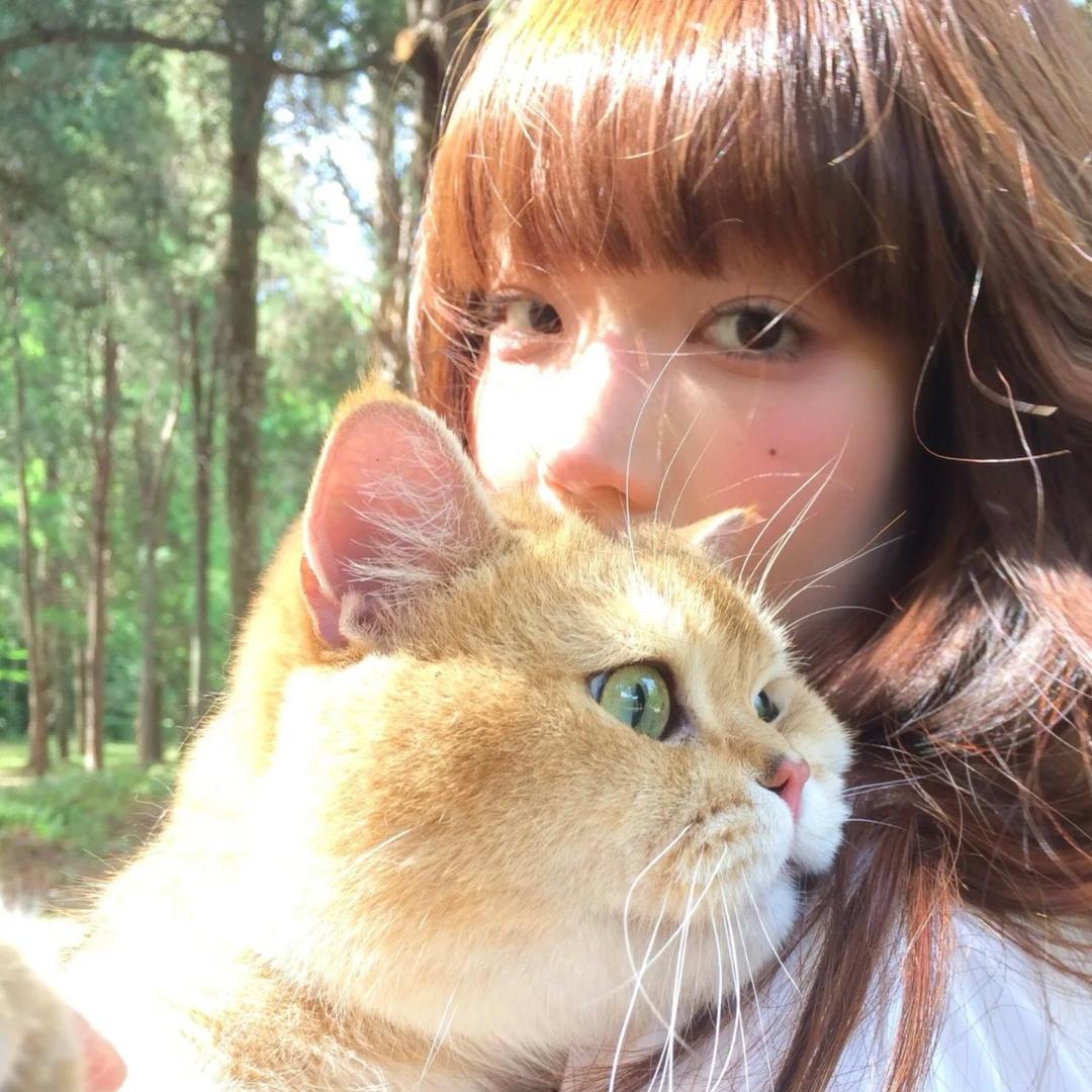 甜₍ᐢ. ₓ .ᐢ₎