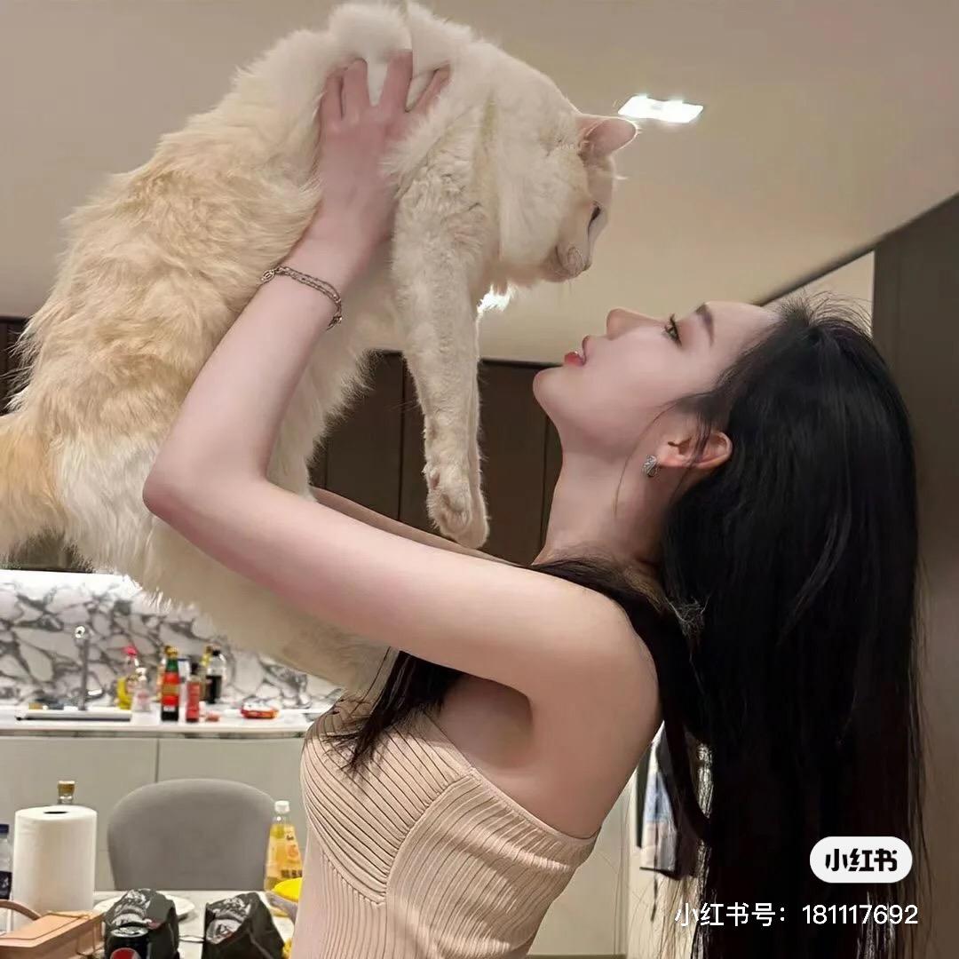 困告烊