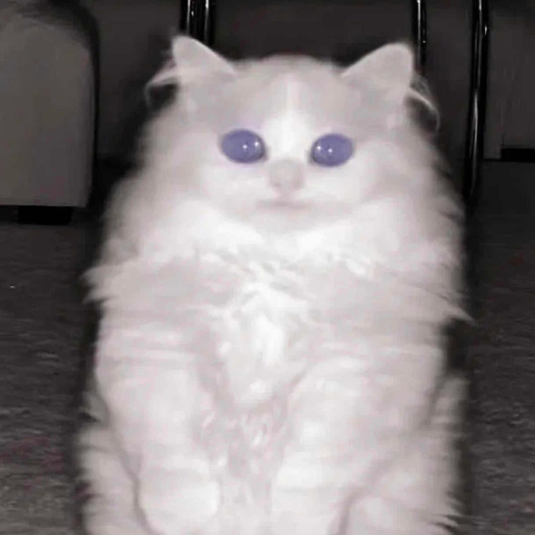 咩子*