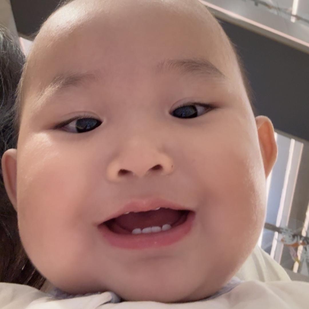 可摇来了