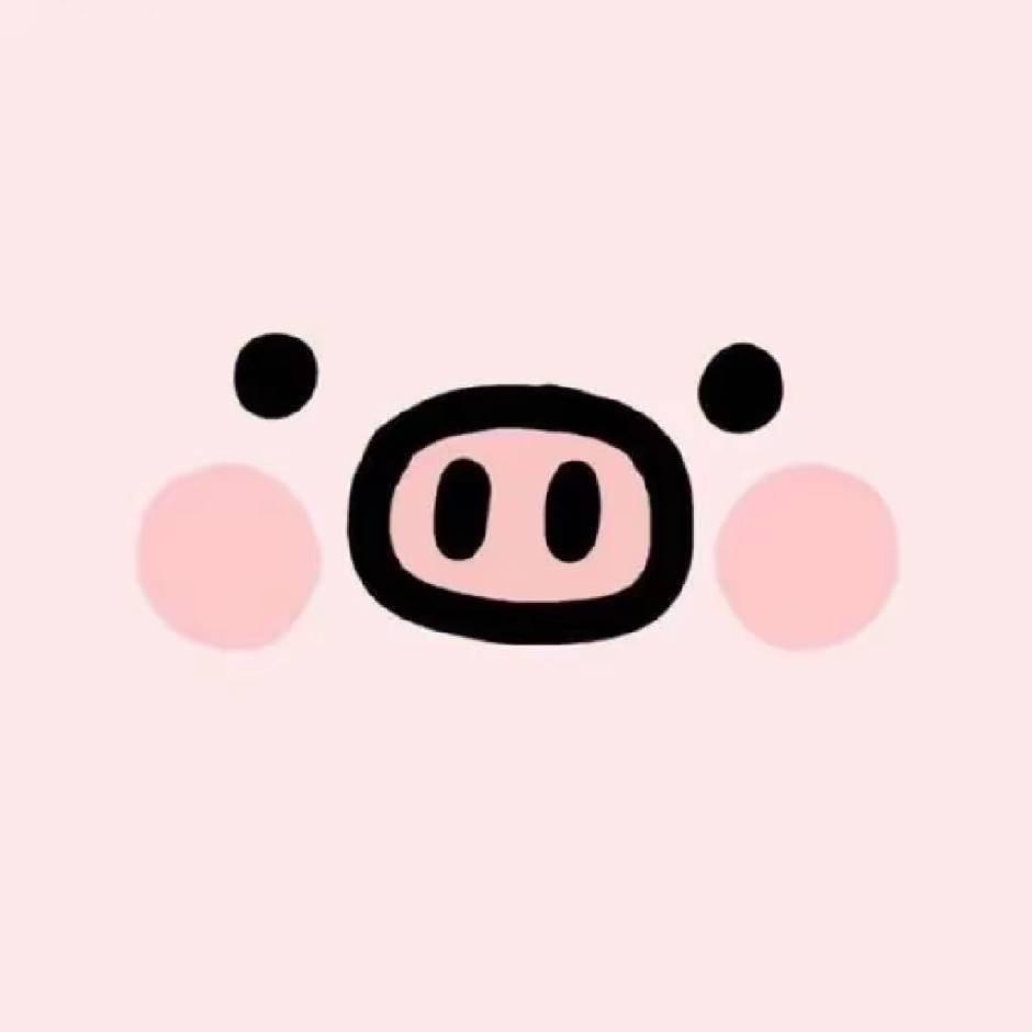 丸子🐷