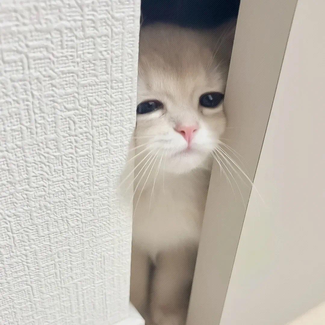 睡到自然醒