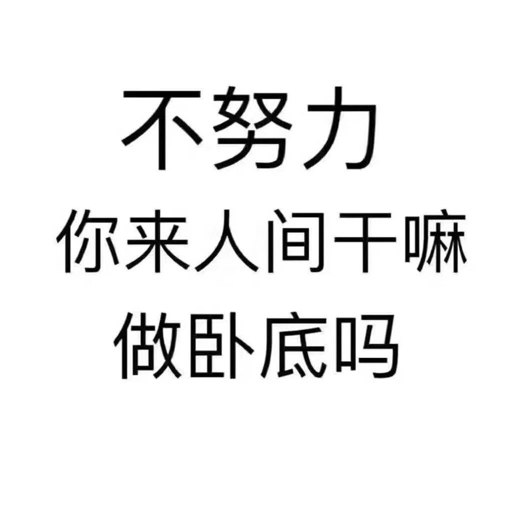 新鲜萝卜皮头像